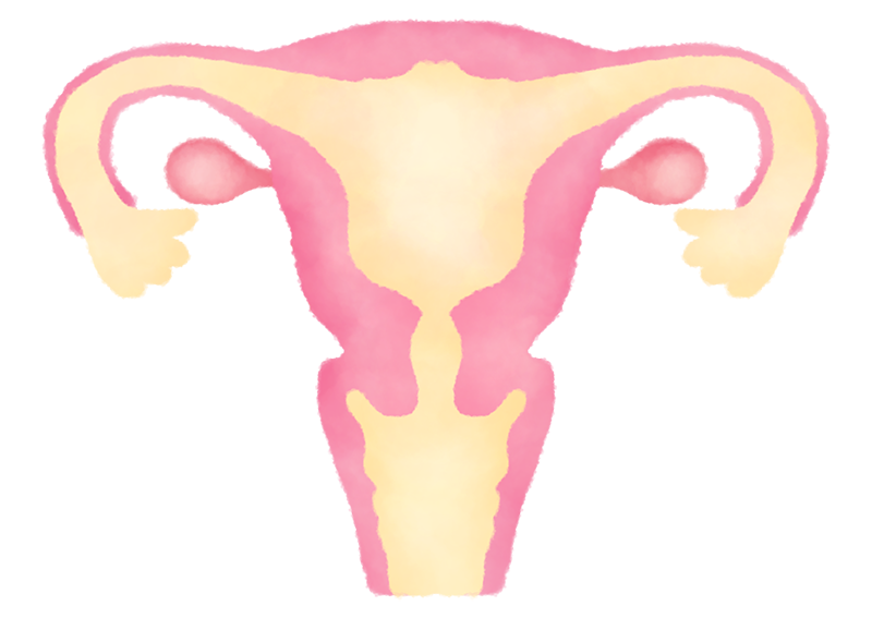 子宮・卵巣の病気・子宮がん検診